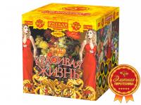 Красивая жизнь Фейерверк купить в Осинниках | osinniki.salutsklad.ru