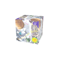 Новогодняя ночь Салют купить в Осинниках | osinniki.salutsklad.ru