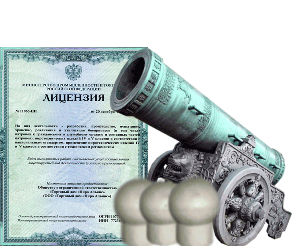 Заказать фейерверк на Новый Год - салют в Осинниках