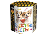 Счастье есть! Салют купить в Осинниках | osinniki.salutsklad.ru