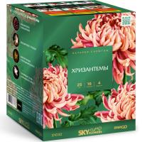 Хризантемы Фейерверк купить в Осинниках | osinniki.salutsklad.ru