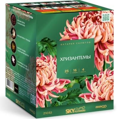 Хризантемы Фейерверк купить в Осинниках | osinniki.salutsklad.ru
