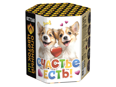 Счастье есть! Салют купить в Осинниках | osinniki.salutsklad.ru